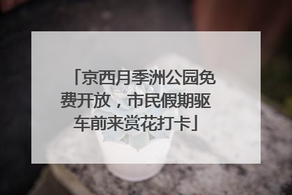 京西月季洲公园免费开放，市民假期驱车前来赏花打卡
