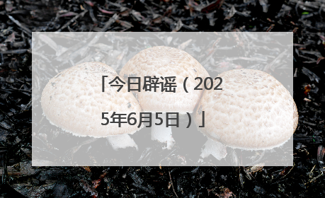 今日辟谣（2025年6月5日）