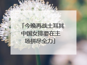 今晚再战土耳其 中国女排要在主场拼尽全力