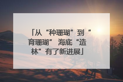 从“种珊瑚”到“育珊瑚” 海底“造林”有了新进展