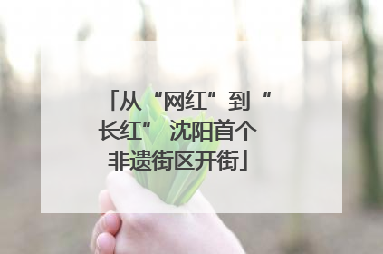 从“网红”到“长红” 沈阳首个非遗街区开街