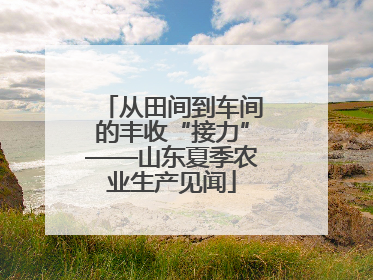 从田间到车间的丰收“接力”——山东夏季农业生产见闻
