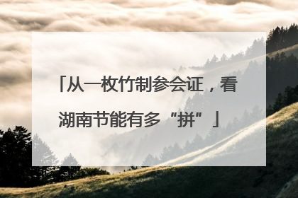 从一枚竹制参会证，看湖南节能有多“拼”