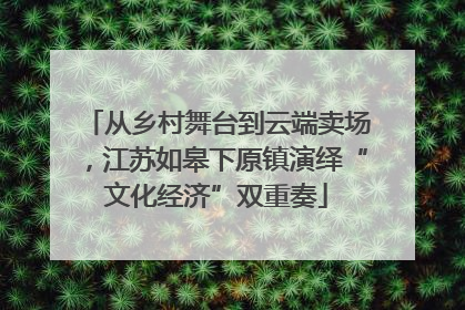 从乡村舞台到云端卖场，江苏如皋下原镇演绎“文化经济”双重奏