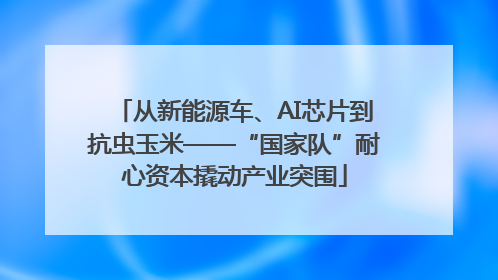 从新能源车、AI芯片到抗虫玉米——“国家队”耐心资本撬动产业突围
