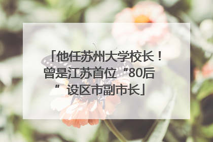 他任苏州大学校长！曾是江苏首位“80后”设区市副市长