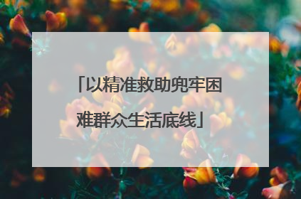 以精准救助兜牢困难群众生活底线
