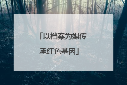 以档案为媒传承红色基因