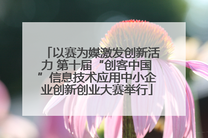 以赛为媒激发创新活力 第十届“创客中国”信息技术应用中小企业创新创业大赛举行