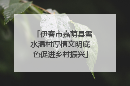 伊春市嘉荫县雪水温村厚植文明底色促进乡村振兴