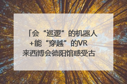 会“巡逻”的机器人+能“穿越”的VR 来西博会德阳馆感受古蜀文明与现代智造的时空对话｜西博视界