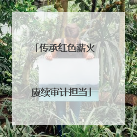 传承红色薪火 赓续审计担当