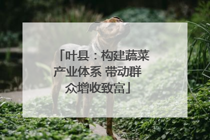 叶县：构建蔬菜产业体系 带动群众增收致富