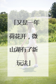 又是一年荷花开，微山湖有了新玩法