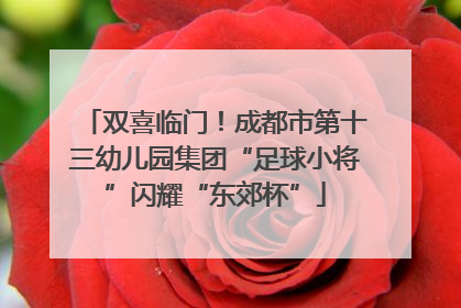 双喜临门！成都市第十三幼儿园集团“足球小将”闪耀“东郊杯”