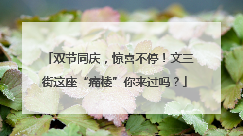 双节同庆，惊喜不停！文三街这座“痛楼”你来过吗？