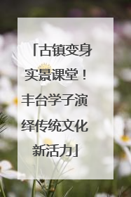 古镇变身实景课堂！丰台学子演绎传统文化新活力