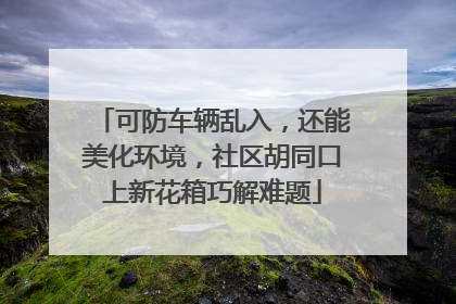 可防车辆乱入，还能美化环境，社区胡同口上新花箱巧解难题