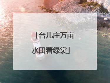 台儿庄万亩水田着绿裳