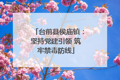 台前县侯庙镇：坚持党建引领 筑牢禁毒防线