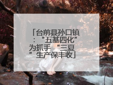 台前县孙口镇：“五基四化”为抓手 “三夏”生产保丰收