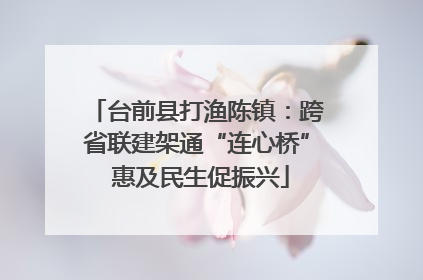 台前县打渔陈镇：跨省联建架通“连心桥” 惠及民生促振兴