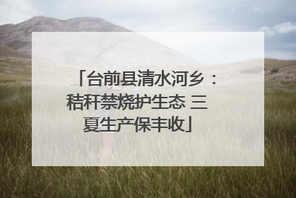 台前县清水河乡：秸秆禁烧护生态 三夏生产保丰收