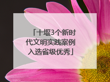十堰3个新时代文明实践案例入选省级优秀