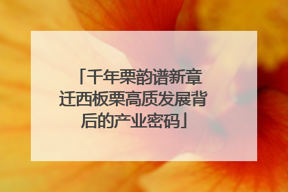 千年栗韵谱新章 迁西板栗高质发展背后的产业密码