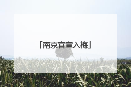 南京官宣入梅