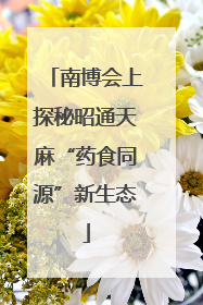 南博会上探秘昭通天麻“药食同源”新生态