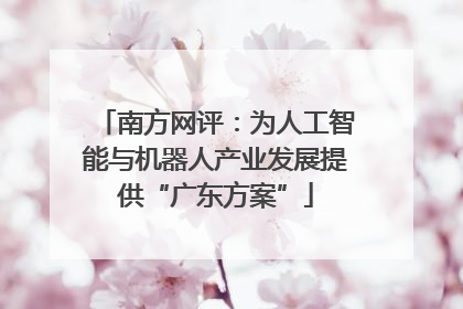 南方网评：为人工智能与机器人产业发展提供“广东方案”
