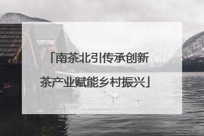 南茶北引传承创新 茶产业赋能乡村振兴