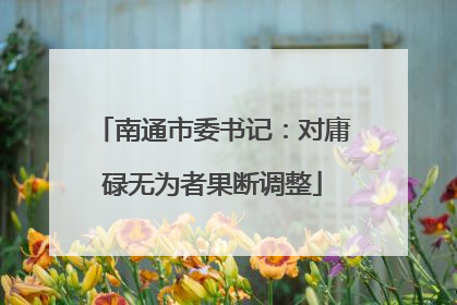 南通市委书记：对庸碌无为者果断调整