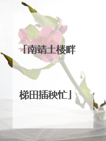 南靖土楼畔 梯田插秧忙