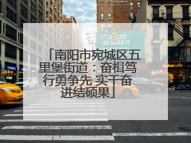 南阳市宛城区五里堡街道：奋楫笃行勇争先 实干奋进结硕果