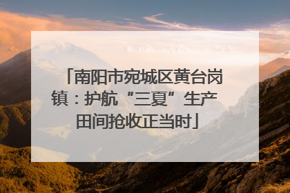 南阳市宛城区黄台岗镇：护航“三夏”生产 田间抢收正当时