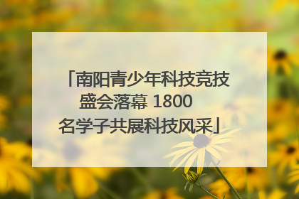 南阳青少年科技竞技盛会落幕 1800 名学子共展科技风采