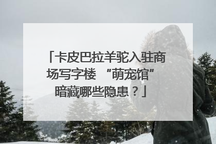 卡皮巴拉羊驼入驻商场写字楼 “萌宠馆”暗藏哪些隐患？