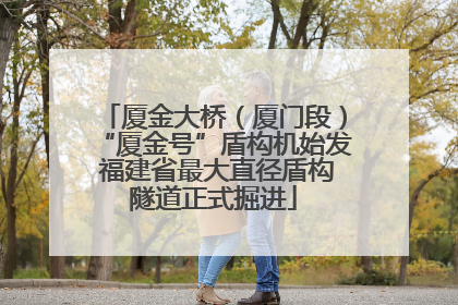 厦金大桥（厦门段）“厦金号”盾构机始发 福建省最大直径盾构隧道正式掘进