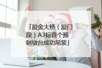 厦金大桥（厦门段）A3标首个预制墩台成功吊装