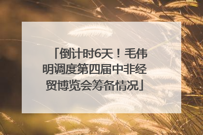 倒计时6天！毛伟明调度第四届中非经贸博览会筹备情况