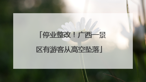 停业整改！广西一景区有游客从高空坠落