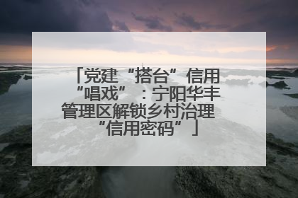 党建“搭台”信用“唱戏”：宁阳华丰管理区解锁乡村治理“信用密码”