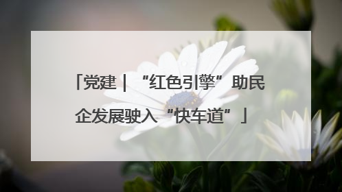 党建｜“红色引擎”助民企发展驶入“快车道”