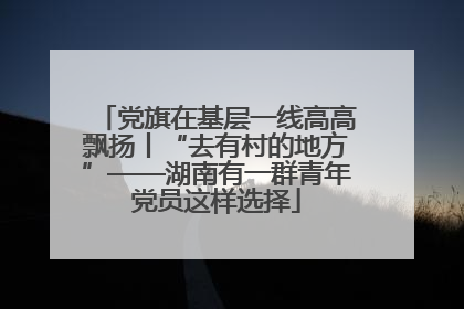 党旗在基层一线高高飘扬丨“去有村的地方”——湖南有一群青年党员这样选择