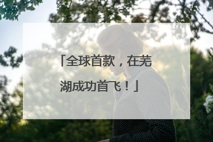 全球首款，在芜湖成功首飞！