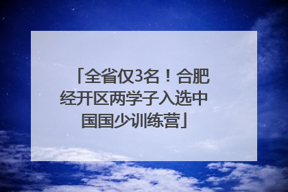 全省仅3名！合肥经开区两学子入选中国国少训练营