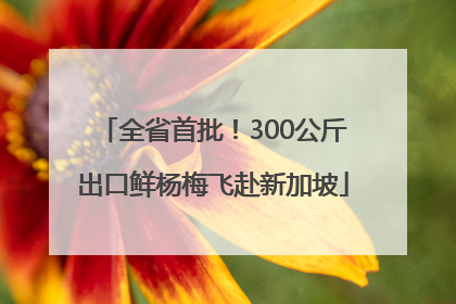 全省首批！300公斤出口鲜杨梅飞赴新加坡