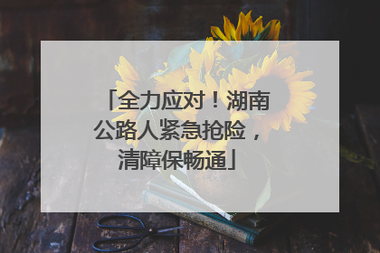全力应对！湖南公路人紧急抢险，清障保畅通